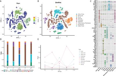 Single-cell mechanistic studies of radiation-mediated bystander effects